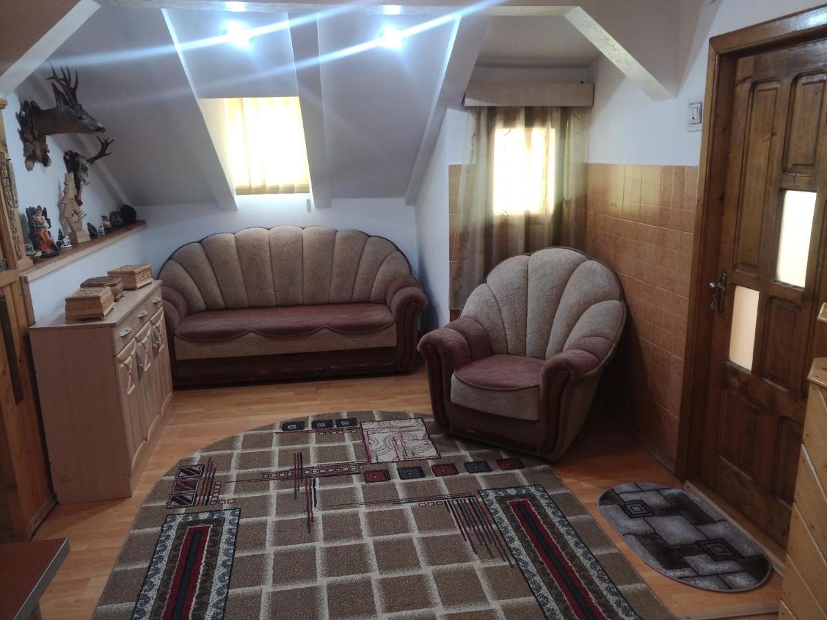 Casa Cristian Villa Câmpulung Moldovenesc Dış mekan fotoğraf