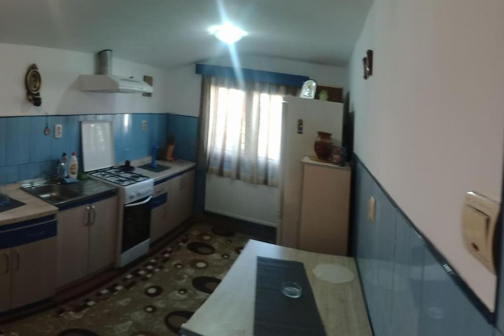 Casa Cristian Villa Câmpulung Moldovenesc Dış mekan fotoğraf
