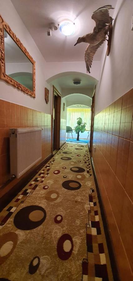 Casa Cristian Villa Câmpulung Moldovenesc Dış mekan fotoğraf