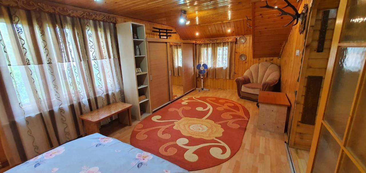 Casa Cristian Villa Câmpulung Moldovenesc Dış mekan fotoğraf