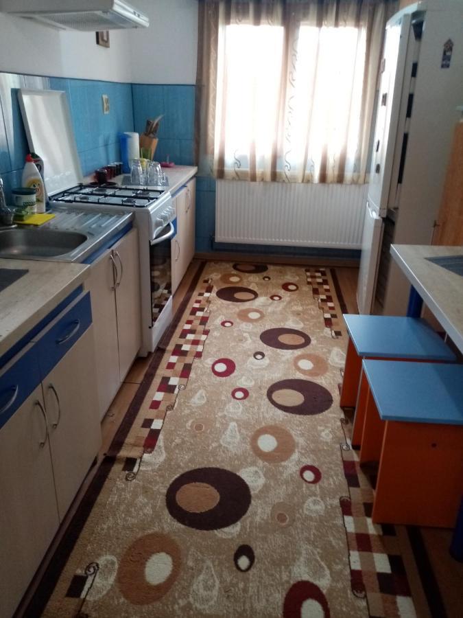 Casa Cristian Villa Câmpulung Moldovenesc Dış mekan fotoğraf