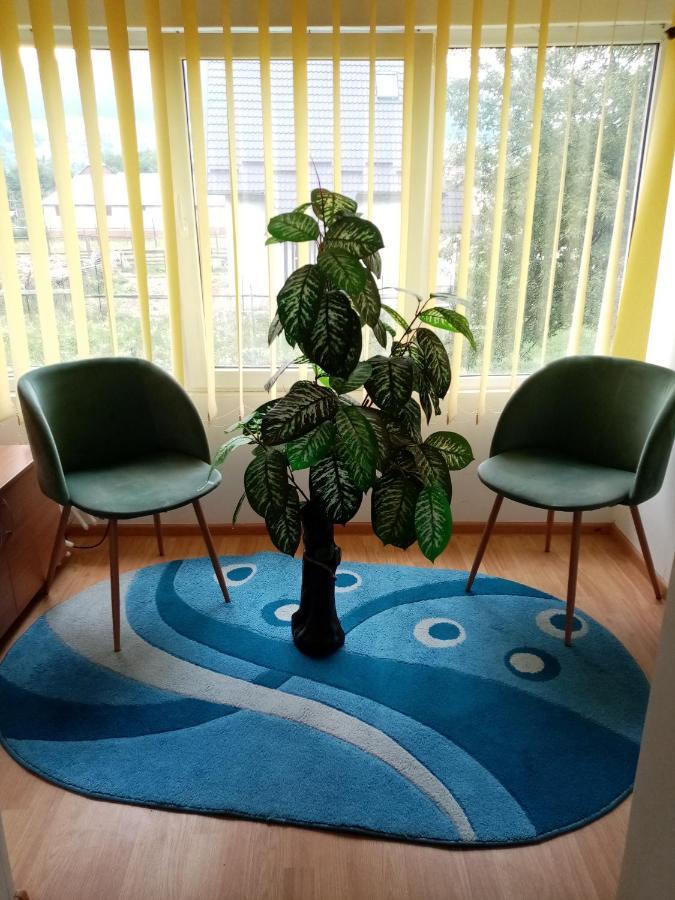 Casa Cristian Villa Câmpulung Moldovenesc Dış mekan fotoğraf