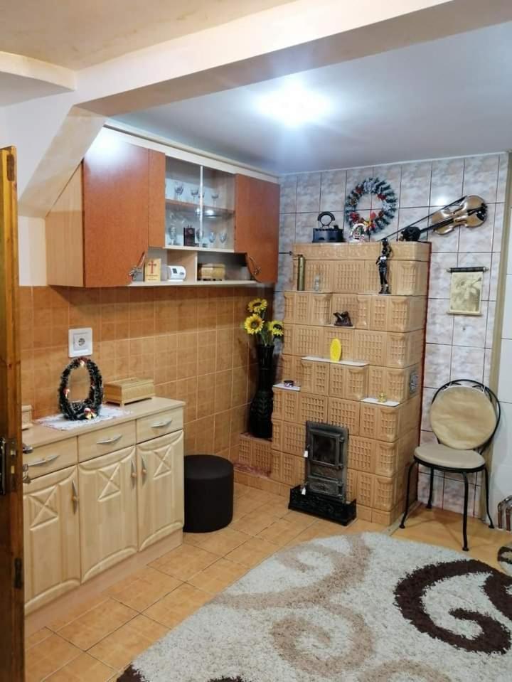 Casa Cristian Villa Câmpulung Moldovenesc Dış mekan fotoğraf